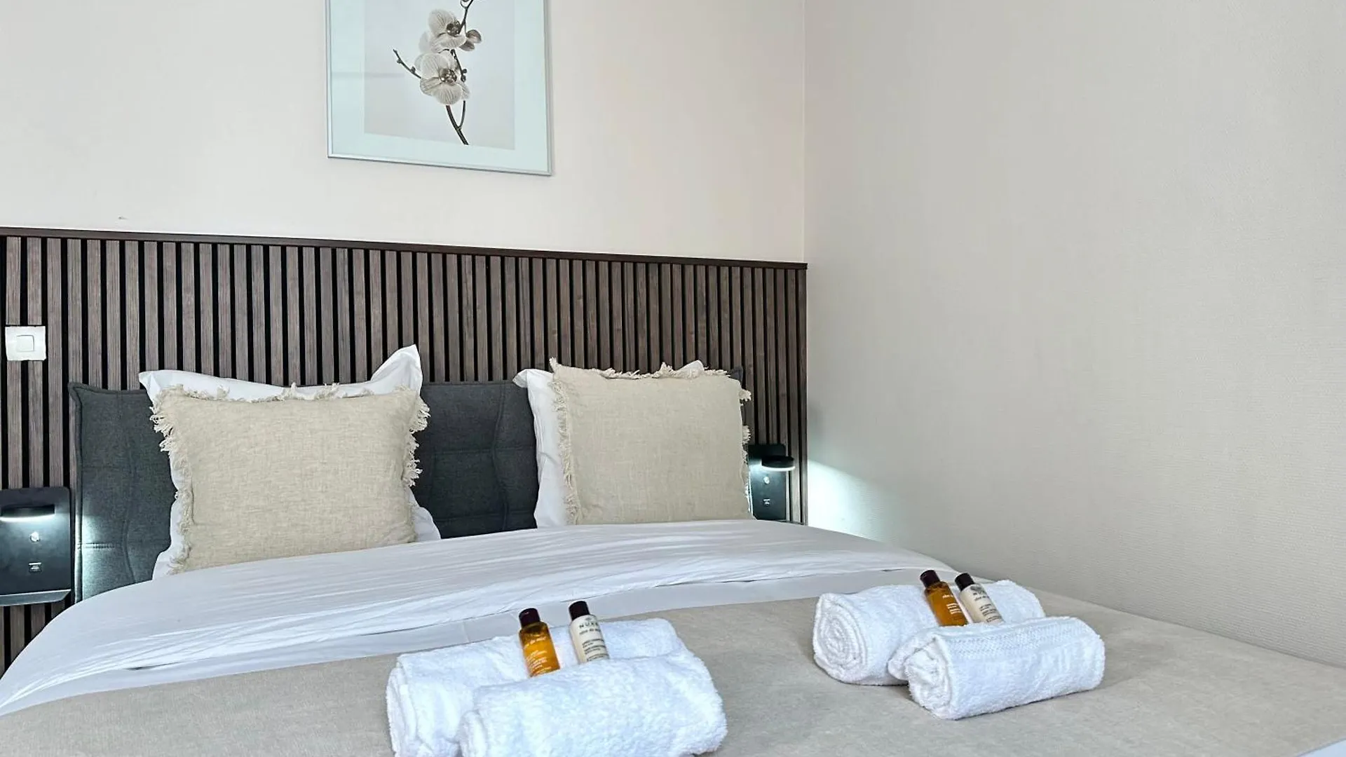 Apartment Spacious Flat Near Porte De Versailles Paris France